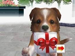 Screenshot of Nintendogs: Labrador & Friends from RAWG