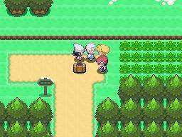 Screenshot of Pokemon Diamond from RAWG
