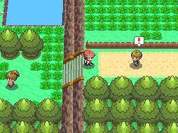 Screenshot of Pokemon Pearl from RAWG